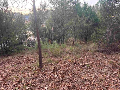 0 Boyd St, Prosperity, SC, 29127 | Card Image