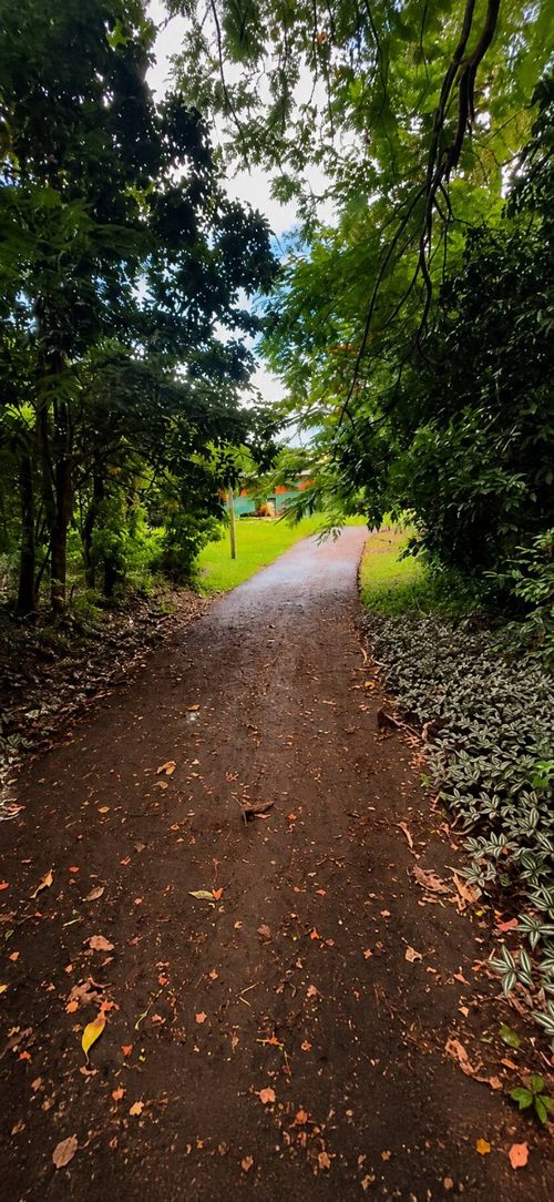 1 Km. 6.4, Carr. 611, Bo. Sabana Grande, Utuado, PR, 00641 | Card Image