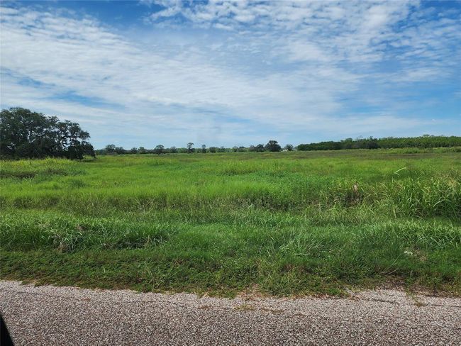 16410 Majestic Oaks Dr, Home with 0 bedrooms, 0 bathrooms and null parking in Rosharon TX | Image 7