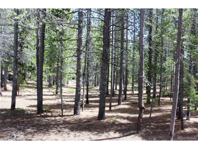 435 Aspen Rd, Home with 0 bedrooms, 0 bathrooms and null parking in Black Hawk CO | Image 29