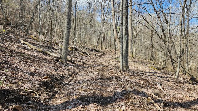 TRACT-1-PIKE-LAKE-GETAWA - 0 Pike Lake Rd, Home with 0 bedrooms, 0 bathrooms and null parking in Bainbridge OH | Image 36