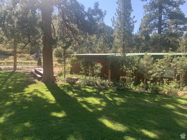 View of yard | Image 28