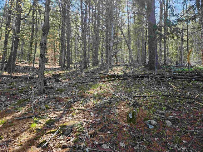 117 Mountain Dr, Home with 0 bedrooms, 0 bathrooms and null parking in Gilford NH | Image 6