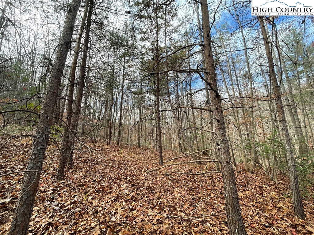 Land in Lenoir