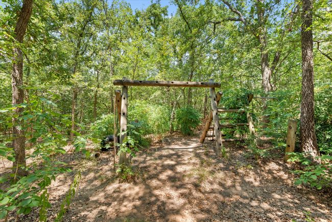 View of yard | Image 6