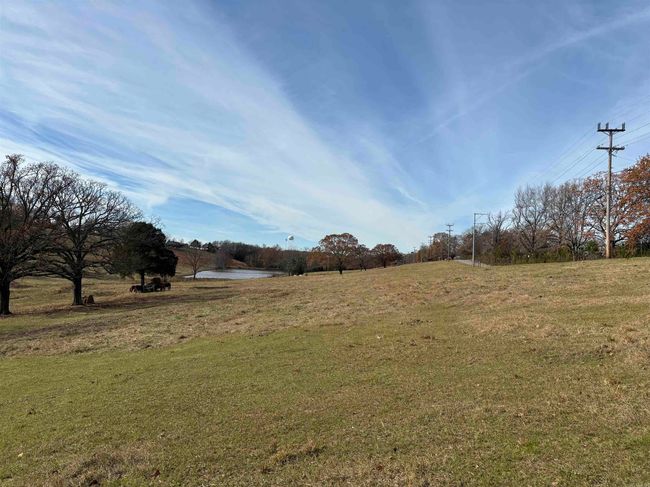 00 Cadron Gap Rd, Home with 0 bedrooms, 0 bathrooms and null parking in Conway AR | Image 34