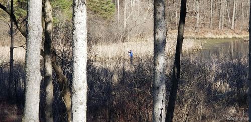 5163 Pine Hill Cir, Howell, MI, 48843-9437 | Card Image