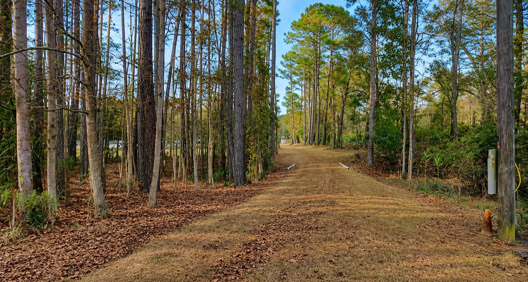 Land in Ravenel 3