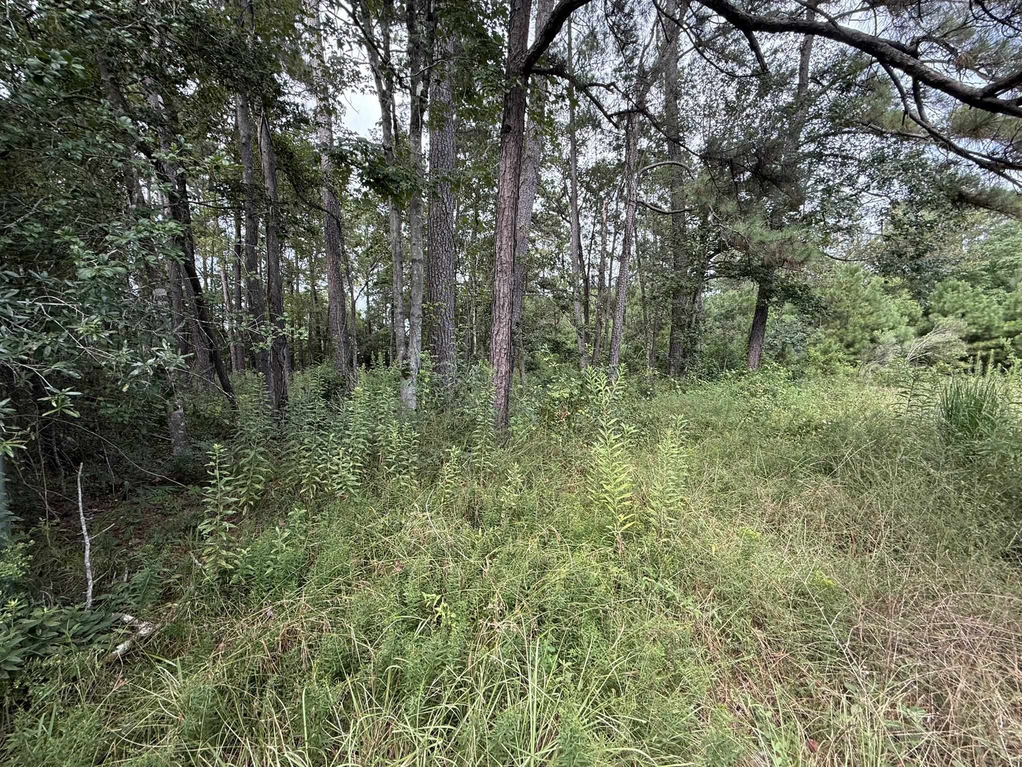Land in Vidor 3