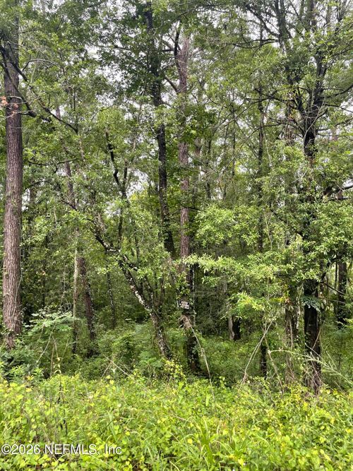 4819 Gopher Cir, Middleburg, FL, 32068-6449 | Card Image
