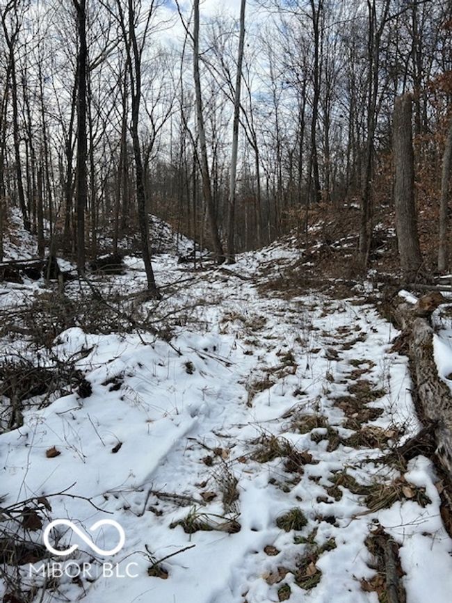Logging Road Through Property | Image 10