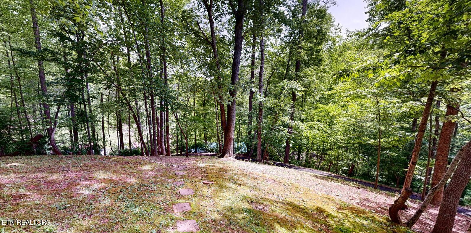 Residential Lease in Gatlinburg 2