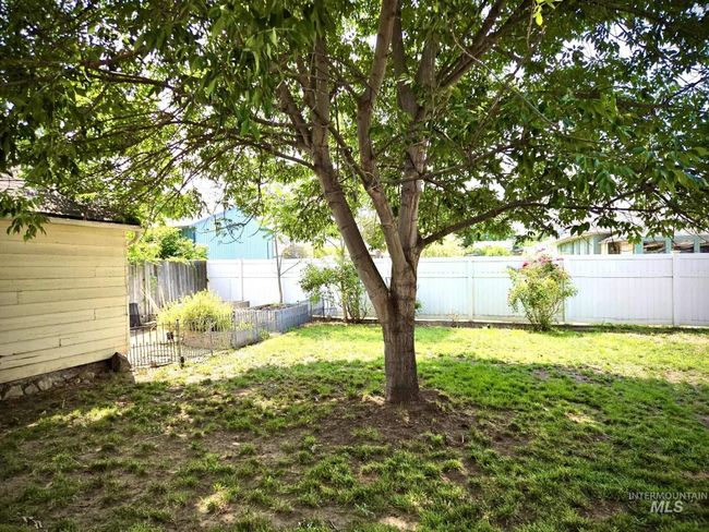 View of fenced backyard | Image 22
