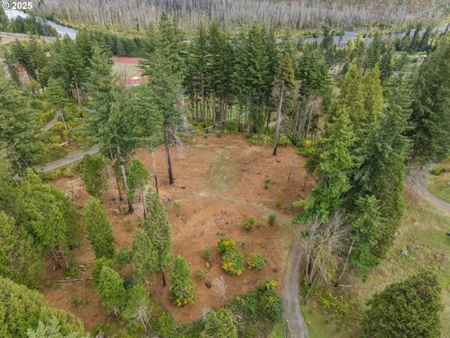 51209 Blue River Dr, Vida, OR, 97488-9602 | Card Image