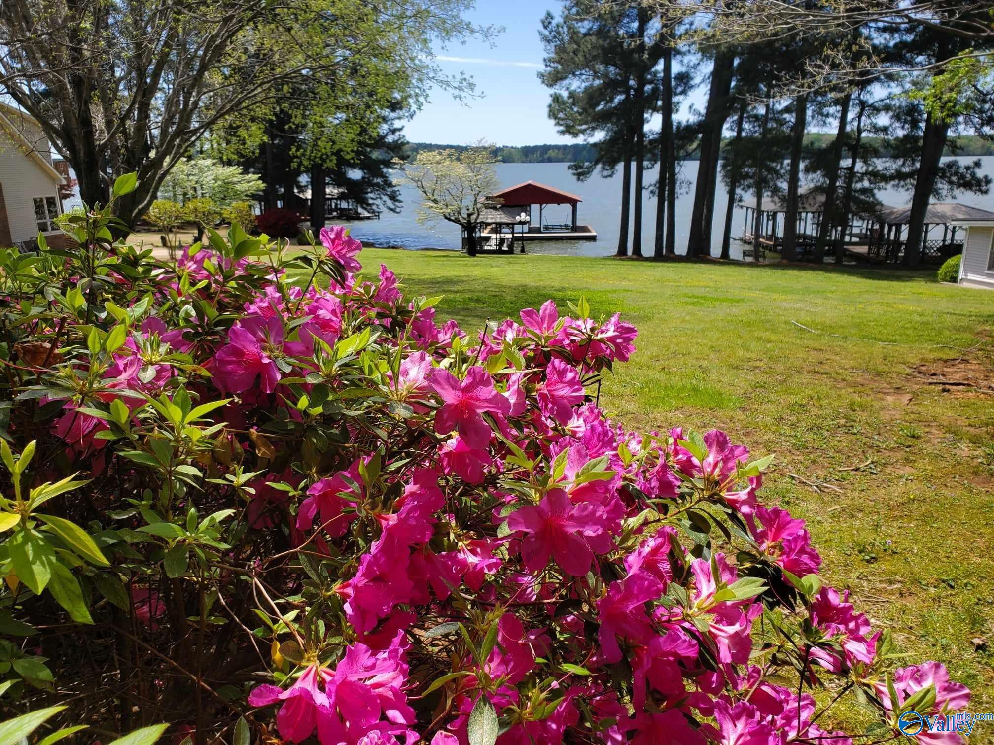 County Road 91 , Rogersville, AL 35652