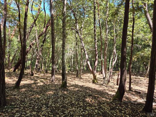 26710 Poppy Dr, Willits, CA, 95490 | Card Image