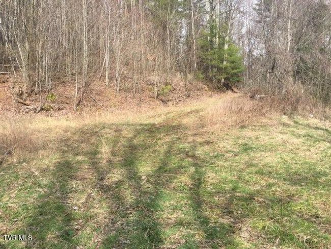 00 Heaton St, Home with 0 bedrooms, 0 bathrooms and null parking in Roan Mountain TN | Image 8