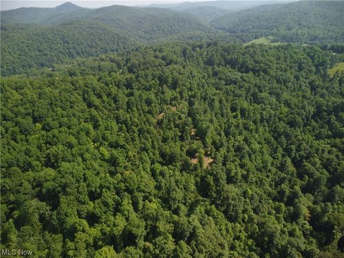 1 Woodland Dr, Ivydale, WV, 25113-8352 | Card Image