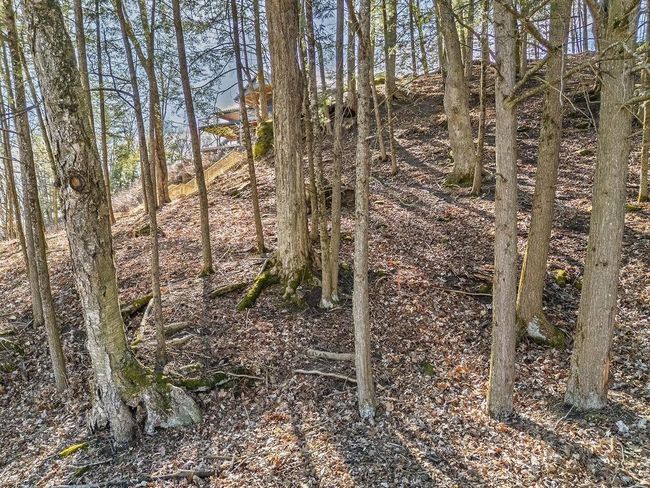 Lot 34 Swallow E Redstone Drive, Home with 0 bedrooms, 0 bathrooms and null parking in LA VALLE WI | Image 9