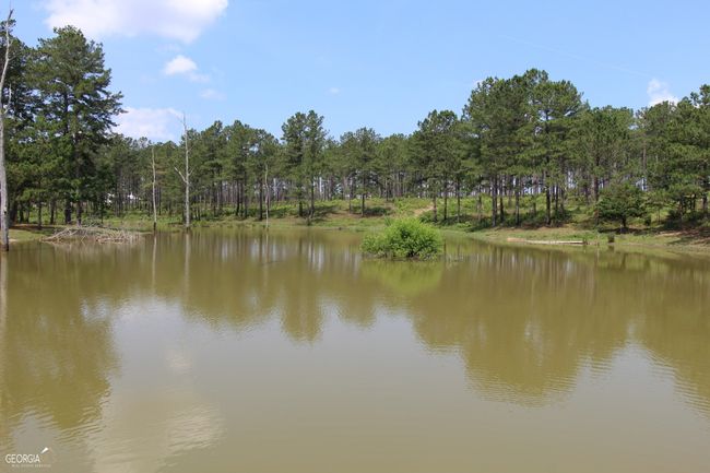 507 Js Mcleod Jr Way, House other with 6 bedrooms, 4 bathrooms and null parking in Blakely GA | Image 87