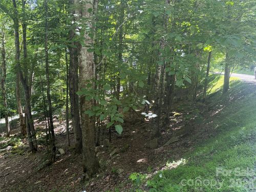 200-200 Wild Daisy Ln, Beech Mountain, NC, 28604-7804 | Card Image