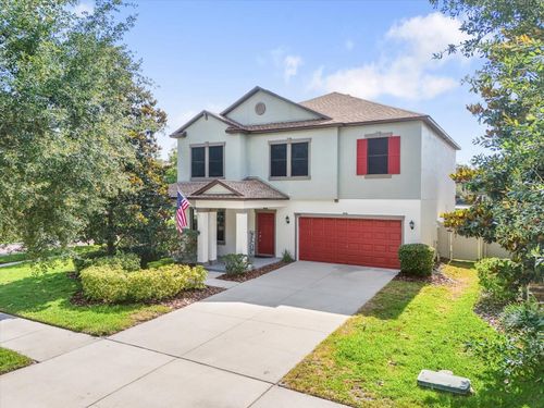 11802 Twilight Darner Pl, RIVERVIEW, FL, 33569-6514 | Card Image
