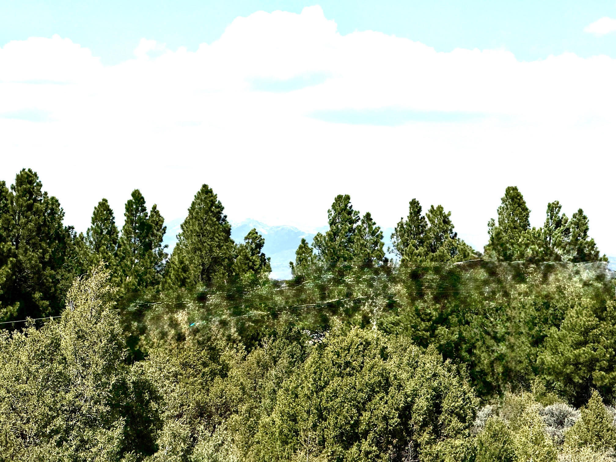 Land in Chama 4