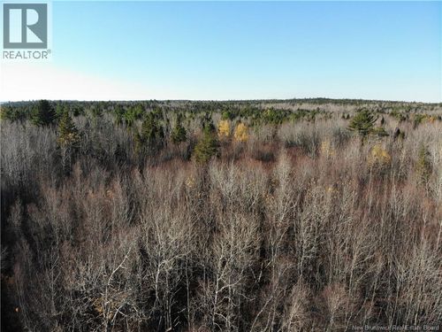 10552 Rte 10, Youngs Cove, NB, E4C2E2 | Card Image