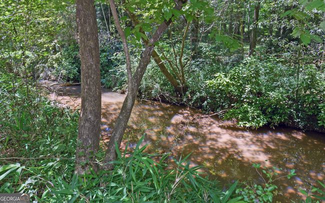 46 Cedar Ridge Dr, House other with 3 bedrooms, 3 bathrooms and null parking in Toccoa GA | Image 48