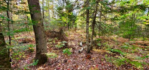 TBD Merwin Creek Rd, Manistique, MI, 49854 | Card Image