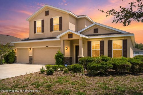 13366 Barkingside Pl, SPRING HILL, FL, 34609-2155 | Card Image