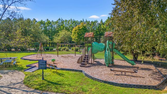 Communal playground featuring a yard | Image 35