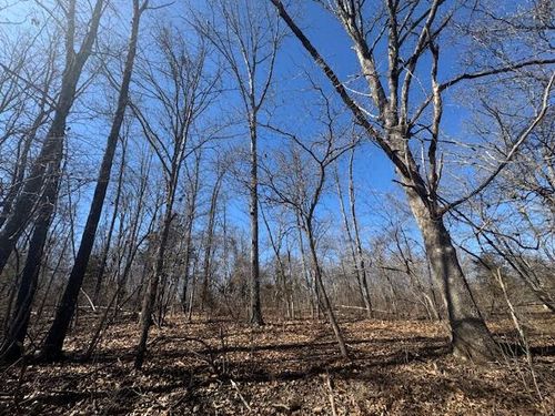 76-430-6739 Co Road W, Ava, MO, 65608 | Card Image