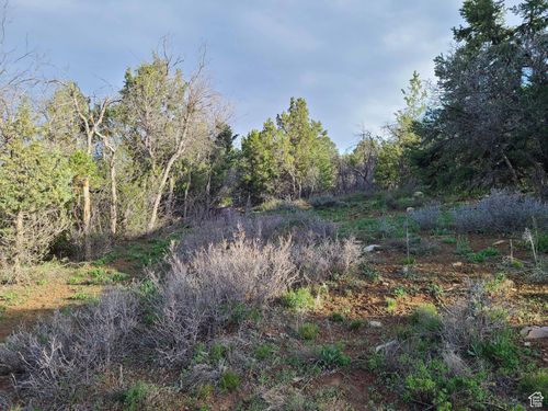 36250 N 10750 E, Indianola, UT, 84629 | Card Image