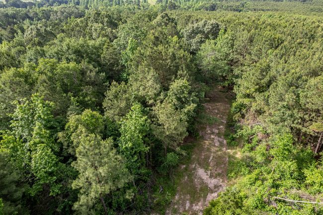 0 Johnson Rd, Home with 0 bedrooms, 0 bathrooms and null parking in Winona TX | Image 21