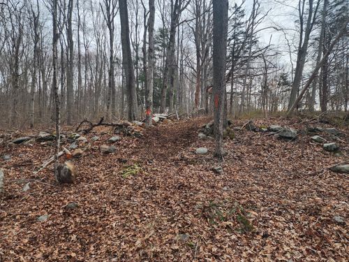 38 N Burnham Hwy, Lisbon, CT, 06351-2931 | Card Image