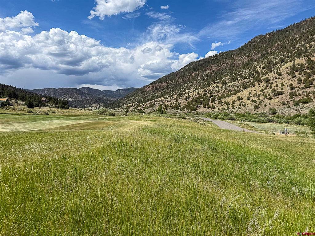 Land in South Fork 2