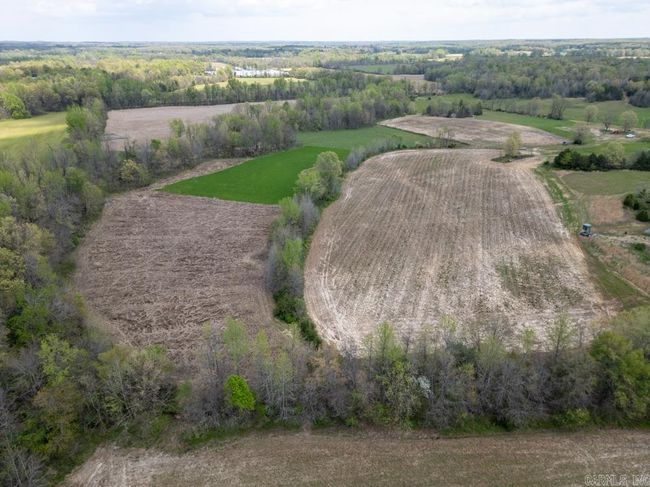 9 County Road 422, Home with 0 bedrooms, 0 bathrooms and null parking in Rector AR | Image 22