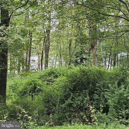 45 Lake Russell Rd, Newfoundland, PA, 18445 | Card Image