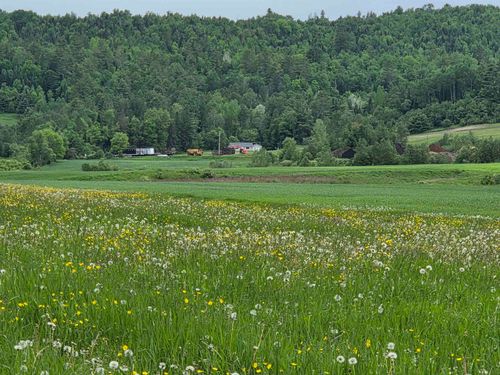 0 Old Concord Road, Concord, VT, 05824 | Card Image
