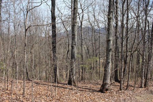 Lot 87A Licklog Ridge, Hayesville, NC, 28904 | Card Image