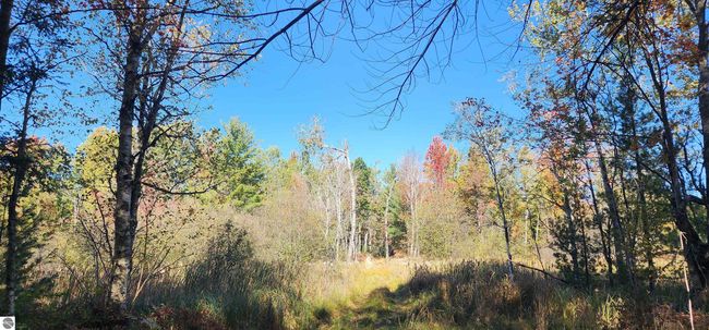 40 Acres Truesdale Road, Home with 0 bedrooms, 0 bathrooms and null parking in Manton MI | Image 18