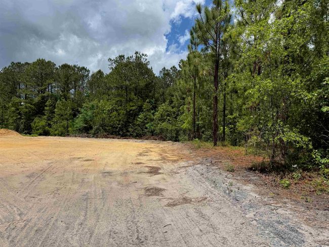 1698 Carriage Dr, Home with 0 bedrooms, 0 bathrooms and null parking in Loris SC | Image 13