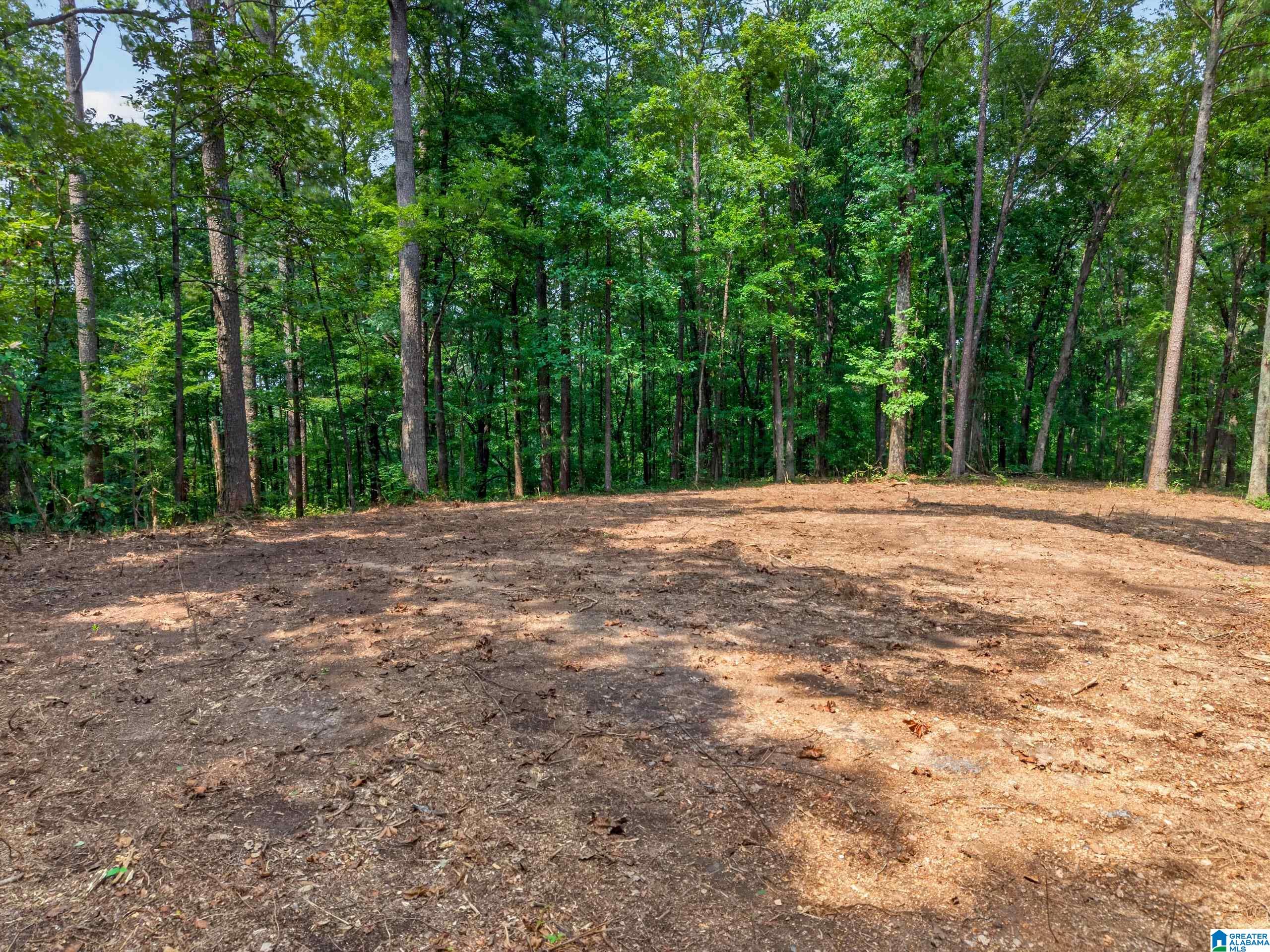 Land in PELL CITY 2