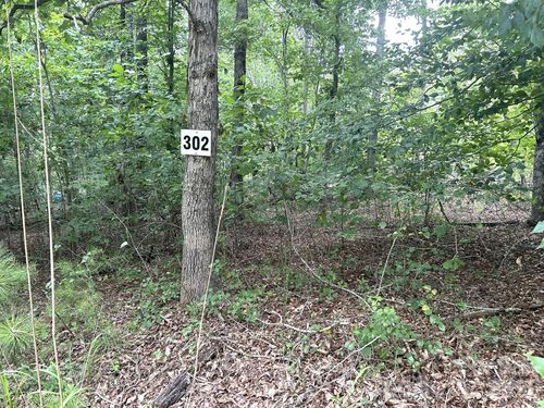 302-00 Bitteroot Circle, Rutherfordton, NC, 28139 | Card Image