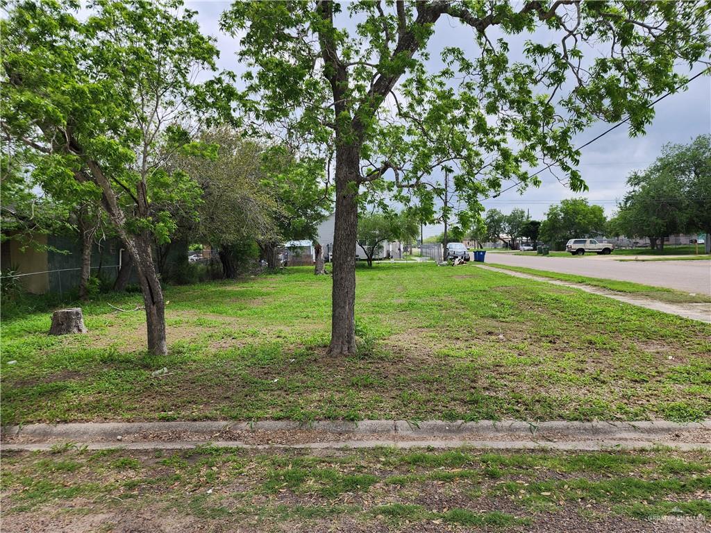 Land in Raymondville 3