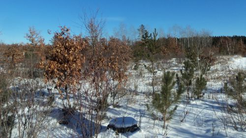 11 Pine Tree Trl, SPRINGBROOK, WI, 54875 | Card Image