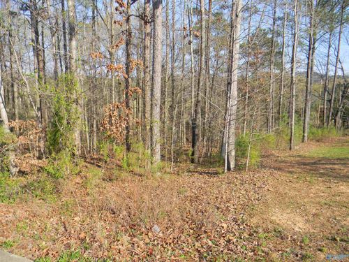 Lot 1 Cade Circle, Leesburg, AL, 35983 | Card Image