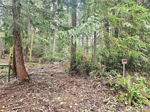 3 NKA E Go Onna Dr, Quilcene, WA, 98376 | Card Image
