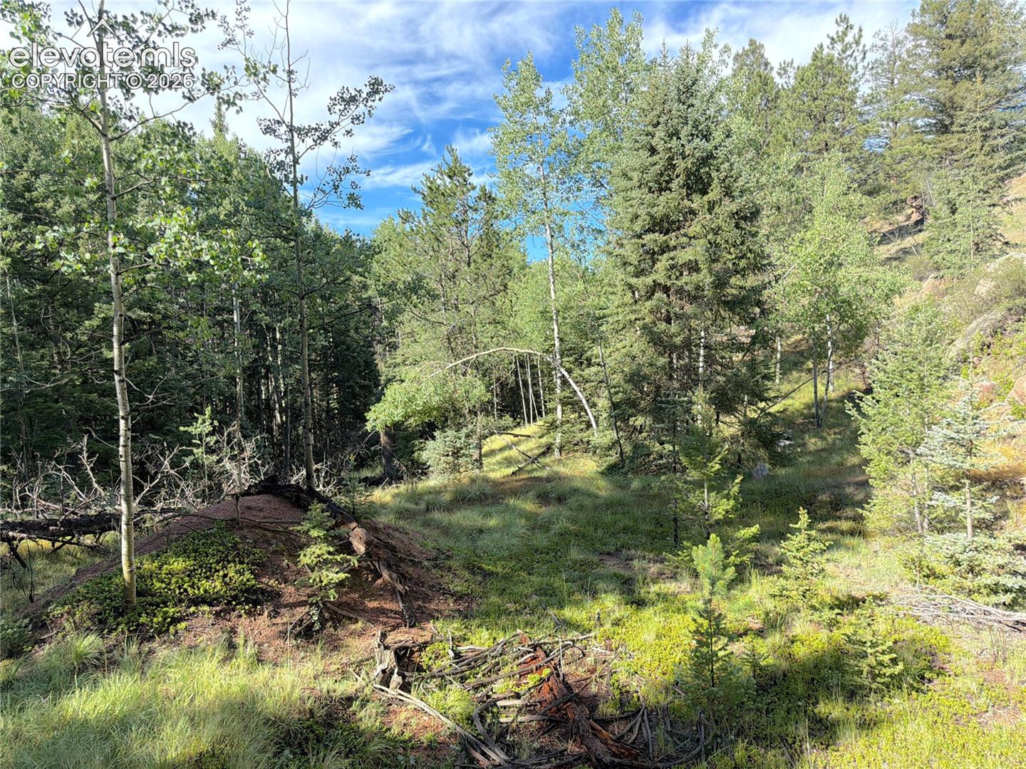 Land in Florissant 3